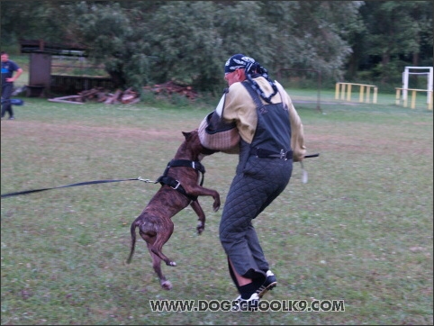 Training camp - Lukova 2007